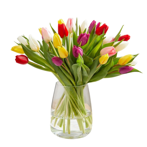 30 Mixed Tulips