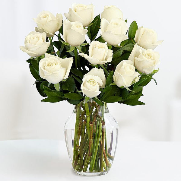 12 White Roses