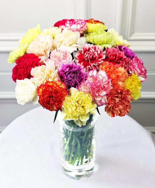 Two Dozen Colorful Carnations