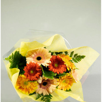 Gerbera Daisies Bouquet